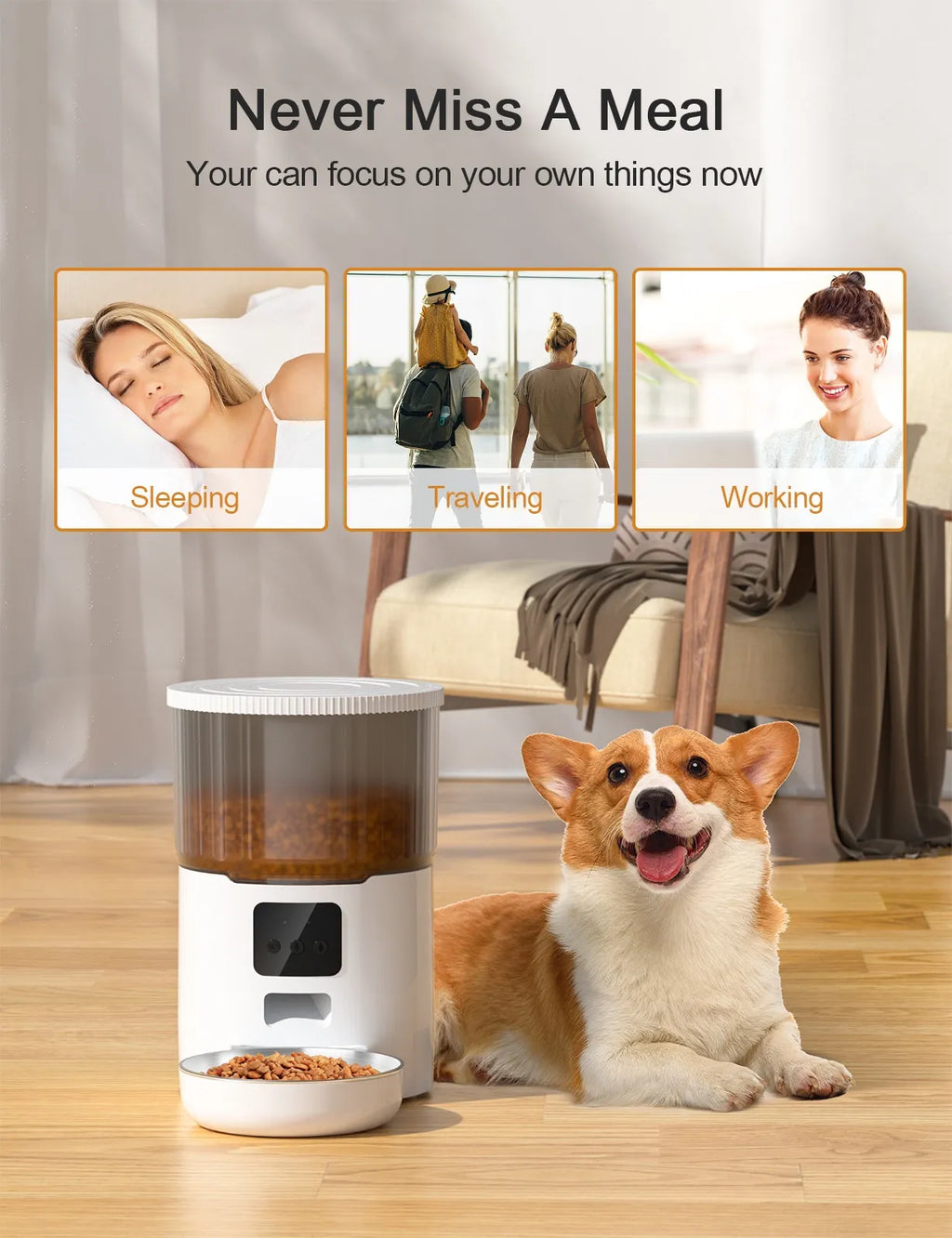 comedero automatico para perros-gatos