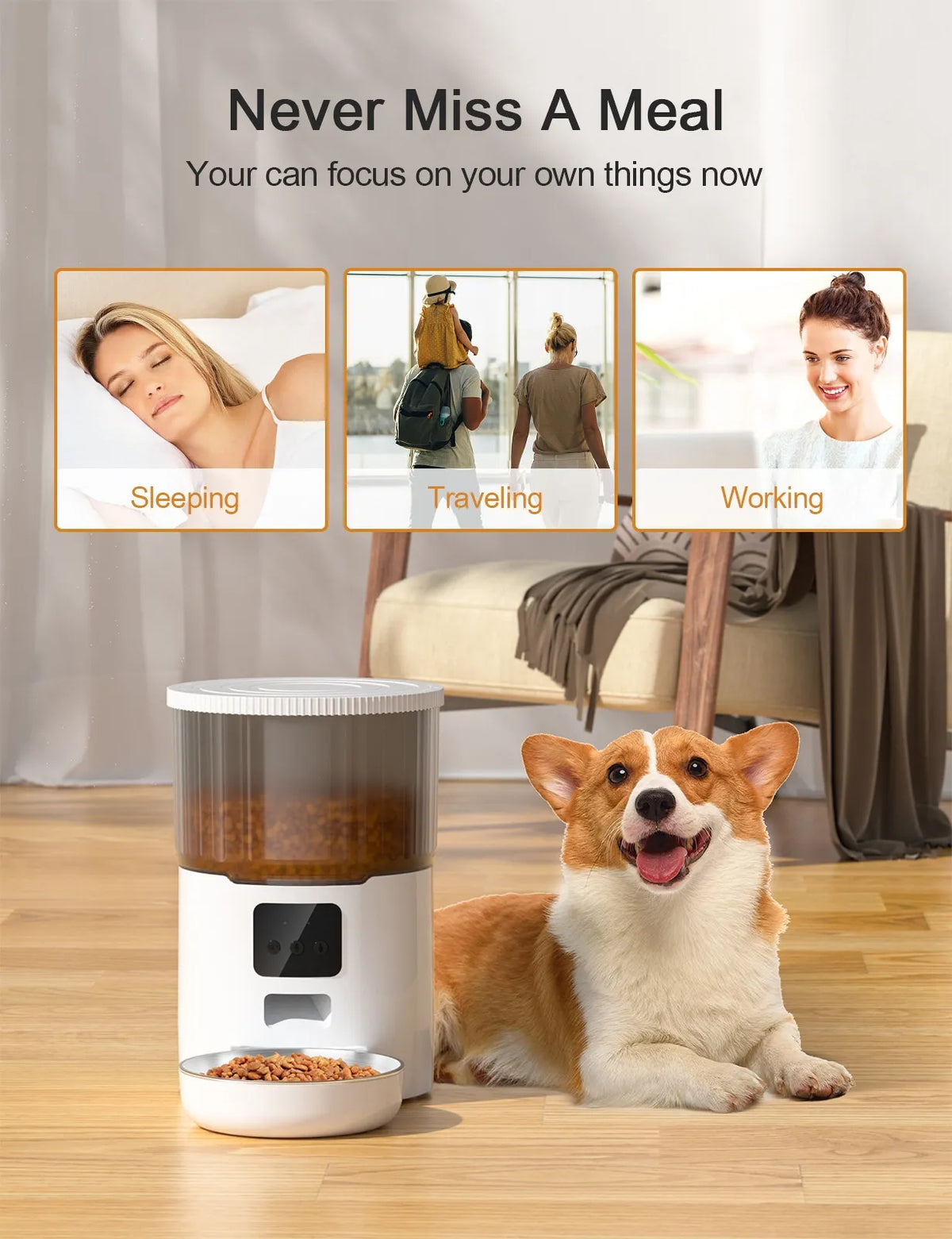 comedero automatico para perros-gatos
