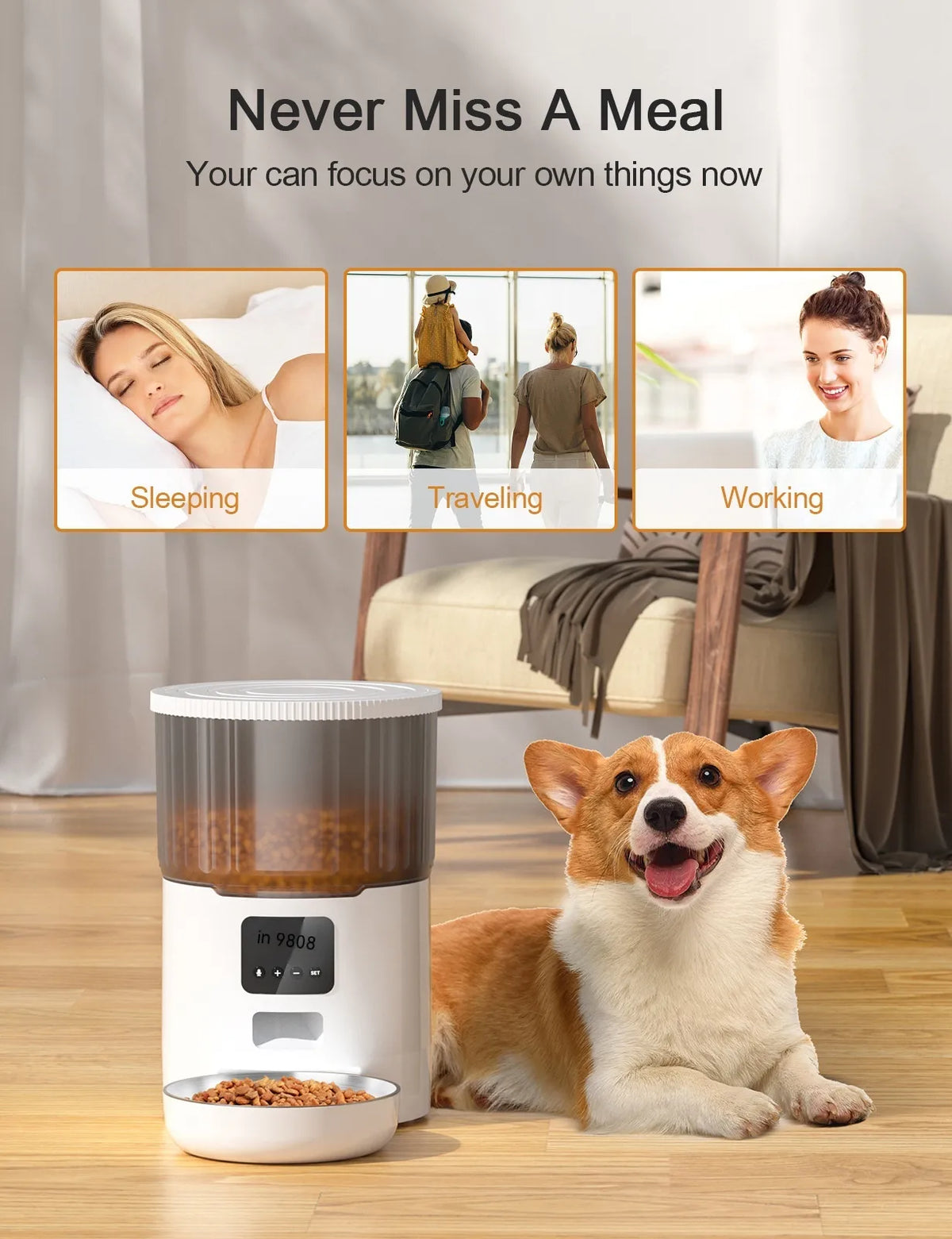 comedero automatico para perros-gatos