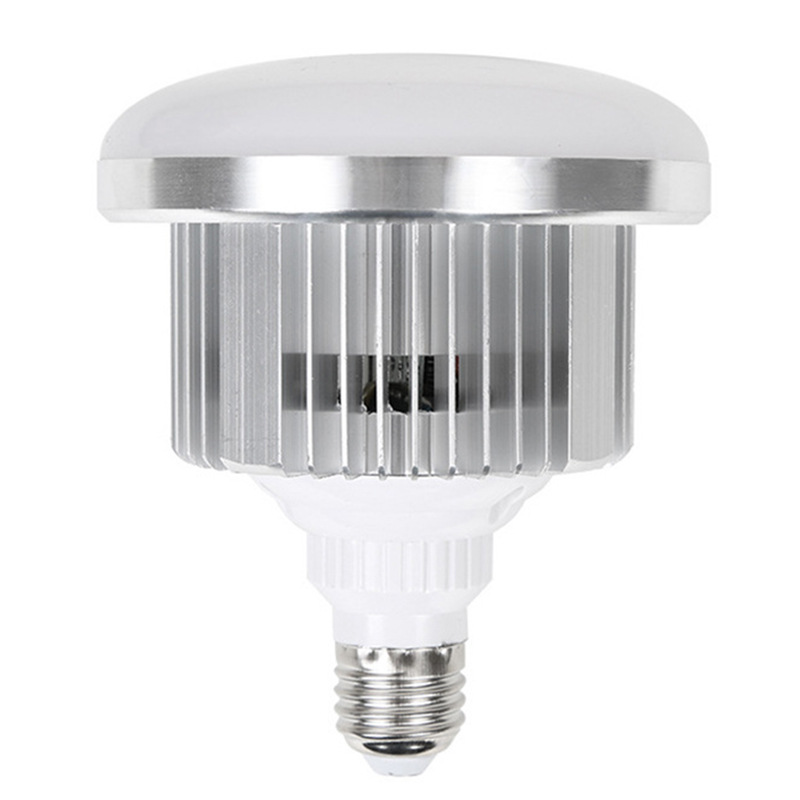 LED Fill Light